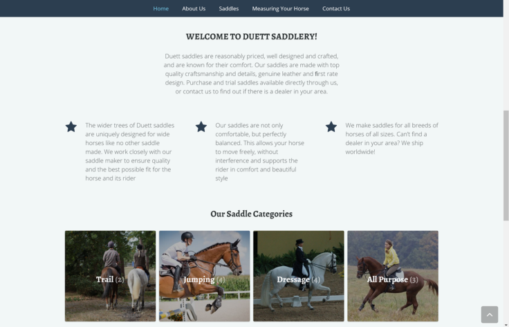 Duett Saddles Metrowest Creative